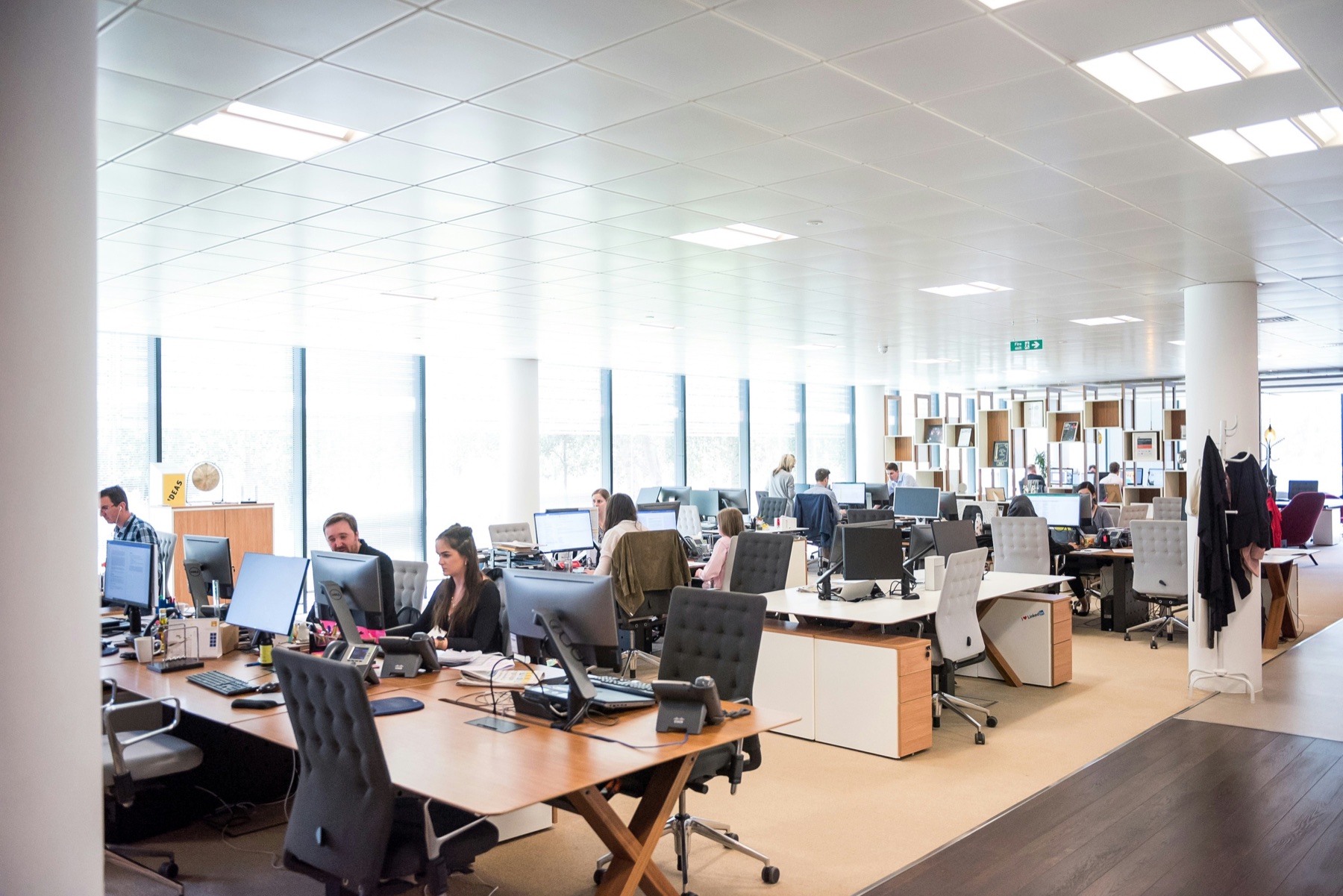 A collaborative office team working together